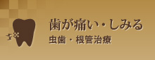 歯が痛い・しみる虫歯・根管治療